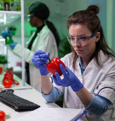 Biologist woman examining pepper writing microbiology medical expertise on notepad for analyzing agriculture. Scientist chemist discovering gmo fruits working in pharmacology laboratory.